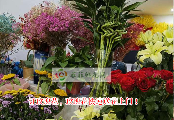 凉山州金阳县订玫瑰花,凉山州金阳县玫瑰花快速送花上门!